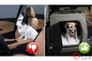 ペットを車内で野放しにするのは危険！ 犬を安全にクルマに乗せる方法とは