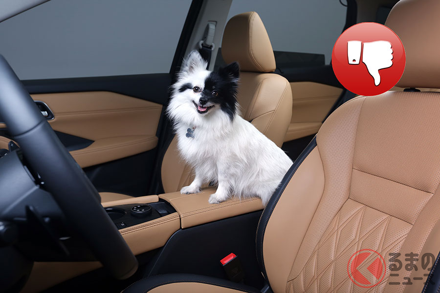 ペットを車内で野放しにするのは危険 犬を安全にクルマに乗せる方法とは くるまのニュース 自動車情報サイト 新車 中古車 Carview
