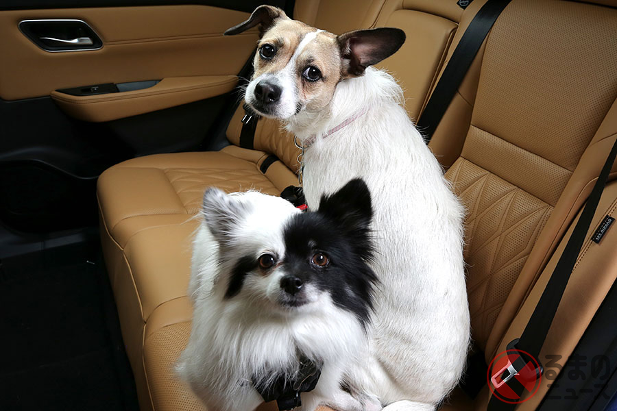 ペットを車内で野放しにするのは危険 犬を安全にクルマに乗せる方法とは くるまのニュース 自動車情報サイト 新車 中古車 Carview