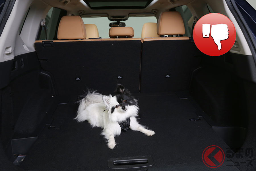 ペットを車内で野放しにするのは危険 犬を安全にクルマに乗せる方法とは くるまのニュース 自動車情報サイト 新車 中古車 Carview