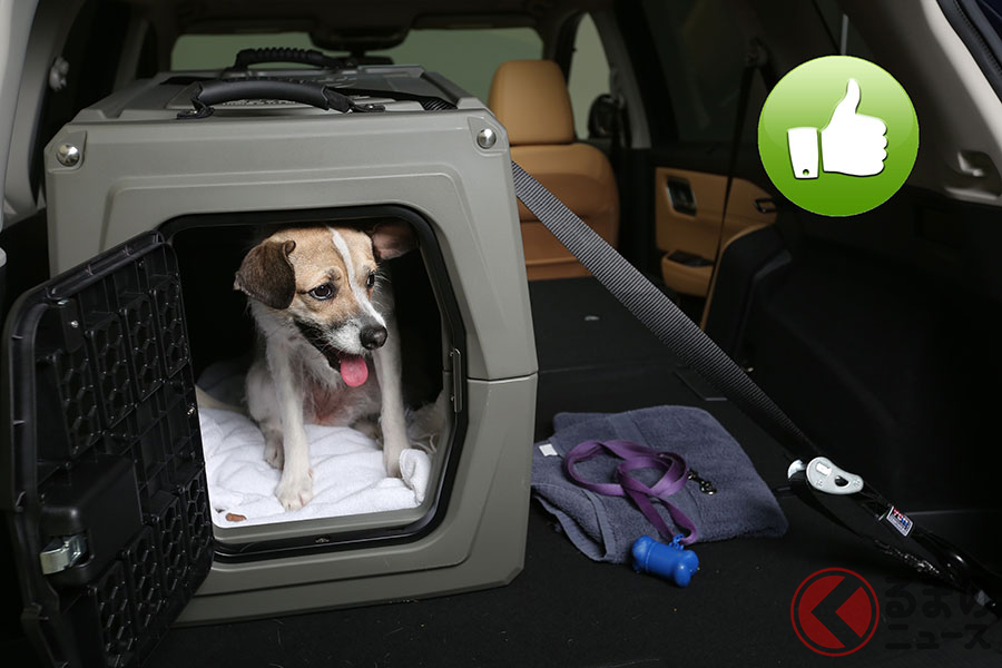 ペットを車内で野放しにするのは危険 犬を安全にクルマに乗せる方法とは くるまのニュース 自動車情報サイト 新車 中古車 Carview