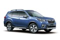 日本の梅雨もドンとこい！頼り甲斐のあるタフな国産車5選