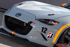 電気自動車との2本柱となるか!?　日本での「フレックス燃料車」の可能性は