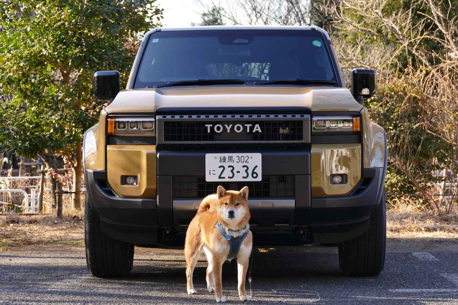 トヨタ「ランドクルーザー」でも「70」と「250」は何が違う