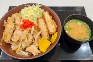 悶絶!?　1杯で2つの味を堪能できる満腹必至の「ブゥーブゥー丼」　バイクで行く高速道路グルメ　東関道「酒々井PA」