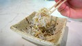 湘南エリアに初の道の駅「湘南ちがさき」が誕生！ 見どころやココでしか味わえない絶品グルメとは？【道の駅マニアの推し駅ガイド】vol.1