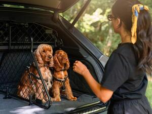 ベントレーが提案する“愛犬と過ごすラグジュアリー”！ベンテイガ専用ペットアクセサリーコレクション登場