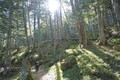 日本最高所の野湯「雲上の湯」を目指し林道を走り山をゆく!!〈八ヶ岳林道温泉ツーリング・前編〉