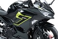 シャープさとフレンドリーさを両立するカワサキの「新ネイキッドバイク」 ビギナーにも　人気の「Ninja 250」2026年モデル発売 2種類の新色で登場