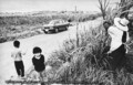 沖縄本土復帰50年…右側通行の日本 “沖縄” に初上陸した日 ［driver1973年3月5日号］