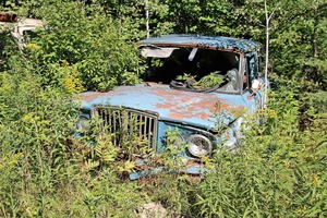 70年前の希少ジープも！　茂みに隠れたクラシックカー　20選（前編）　ジャンクヤード探訪記