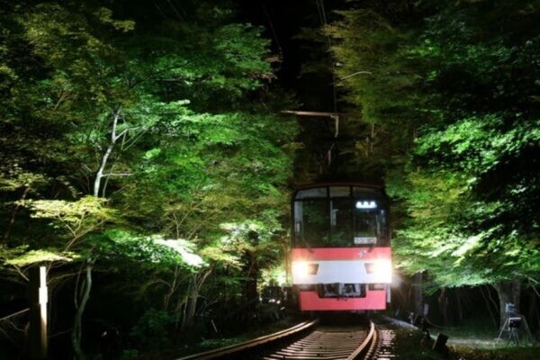 夏の「青もみじ」もゆっくり走行で楽しむ 「ライトアップ」や「装飾列車」など 叡電の「七夕イベント」