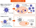 オフィスチェアにも応用！抗アレルゲン機能、抗ウイルス機能を備えたホンダ「N-BOX」「N-WGN」のシートの進化