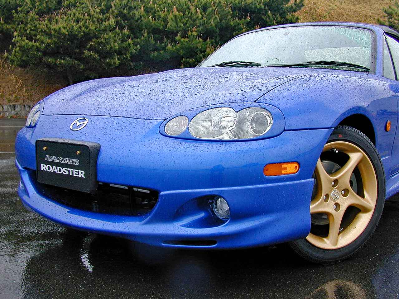 懐かしの国産車 16 マツダスピードがプロデュースしたロードスターとファミリアは人気沸騰 Webモーターマガジン 自動車情報サイト 新車 中古車 Carview