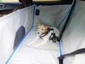 愛犬を連れて愛車で夏の海へ……はちょっと待て！　ワンコといく夏のドライブは注意点が盛りだくさんだった