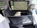 愛犬を連れて愛車で夏の海へ……はちょっと待て！　ワンコといく夏のドライブは注意点が盛りだくさんだった