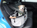 愛犬を連れて愛車で夏の海へ……はちょっと待て！　ワンコといく夏のドライブは注意点が盛りだくさんだった