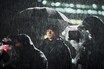 話題の韓国映画2本をピックアップ──新時代の官能スリラー『秘顔-ひがん-』とカン・ドンウォン主演の『プロット 殺人設計者』をレビュー！