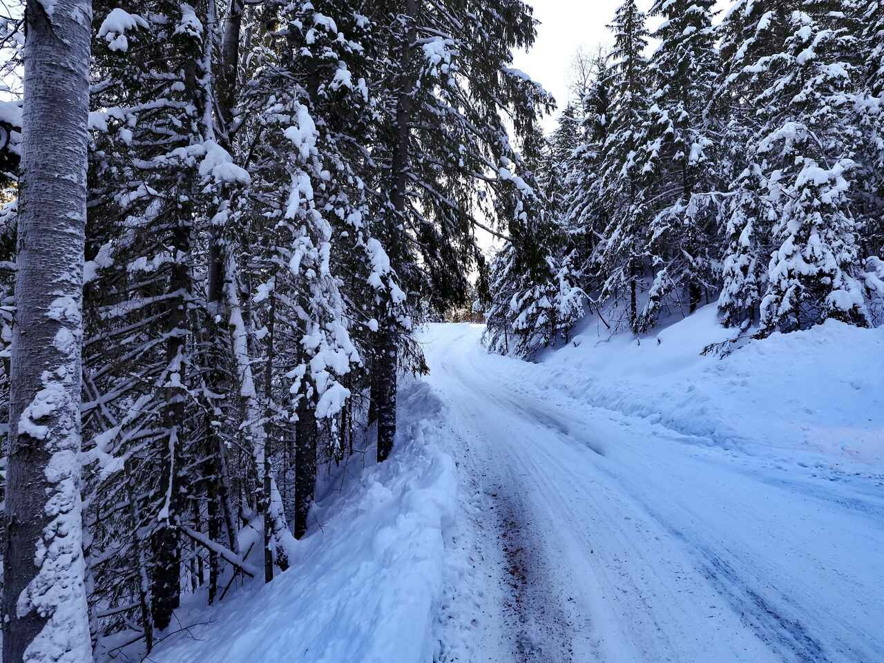2023年WRC第2戦、雪と氷のフルスノーイベントではロバンペラが有利！？【ラリー・スウェーデン プレビュー】