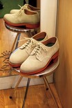 Tokyo New Ivy Store──vol.2 セプティズ
