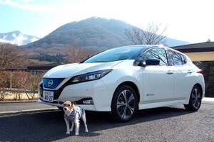 愛犬と暮らすいま「DOGファースト」なBEVが存在しない……【私がEVを買わない理由　青山尚暉編】