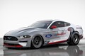 【eニスモ、誕生は？】マスタング・マッハEのハイパフォーマンス推し　日産アリアは一方で……