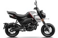 CFMOTO「パピオ XO-2（トレール）」【1分で読める 原付二種解説 2025年現行モデル】