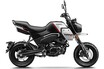 CFMOTO「パピオ XO-2（トレール）」【1分で読める 原付二種解説 2025年現行モデル】