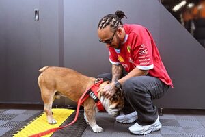 タイヤテスト欠席のハミルトン、愛犬ロスコーが昏睡状態と明かす。F1関係者やファンから祈りと応援の声