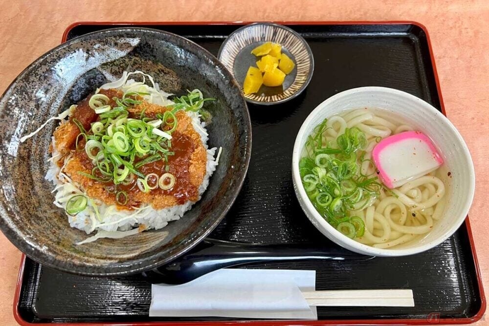 中国道「大佐SA」で岡山県のご当地グルメ「デミカツ丼」に出会った