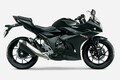 スズキ「GSX250R ABS」インプレ（2021年）扱いやすさ抜群！ 街乗りもツーリングも楽しめるフルカウル250ccスポーツ