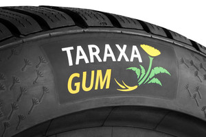 コンチネンタル、タンポポ由来の代替天然ゴム研究所を開設