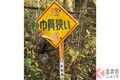「アラビア語と見間違えそうになった...」 沖縄県で見つかった解読不可能な標識がSNSで話題！