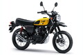 32万円の小さなスクランブラー！ カワサキ「W175TR」に2024年の新カラー登場【海外】