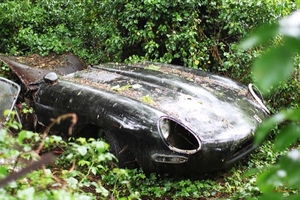 森に放置されていたジャガーEタイプ　30年ぶりに蘇る