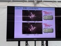 トヨタのアルミテープにホンダアクセスのギザギザエアロ！　みんな効果があるっていうけどマジ？　なんで効くの？