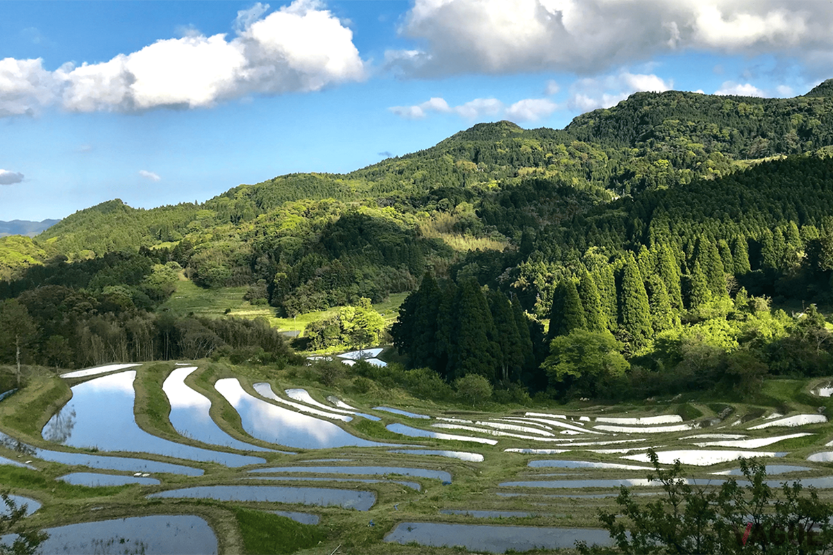 懐かしさが心にしみる... 都心から90分 千葉・鴨川の里山エリアで味わう“日本の原風景”！ 昔に帰った気分になれる「古民家宿＆カフェ」5選