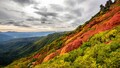 日本一早い紅葉！　大雪山黒岳は今、鮮やかな赤に染まっています