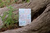 【GQ読書案内】“6月病”に備えて読みたい──暮らしと心身を整えなおす5冊