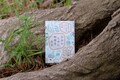 【GQ読書案内】“6月病”に備えて読みたい──暮らしと心身を整えなおす5冊