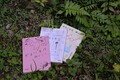 【GQ読書案内】“6月病”に備えて読みたい──暮らしと心身を整えなおす5冊