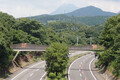 その橋、“人間用”じゃありません！ 高速道路をまたぐ立派な橋やトンネルで“分断”防ぐ 海外じゃレベル違った!?
