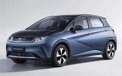 BYD ドルフィン