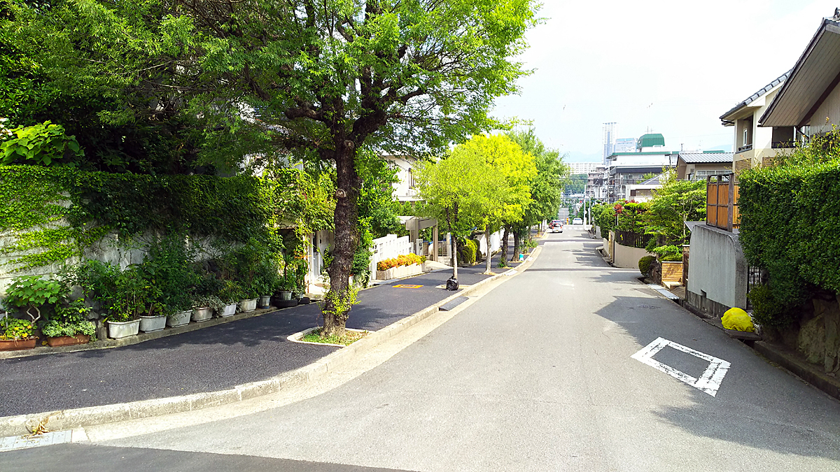 自転車歩行者専用道路があるのに 自転車 車道