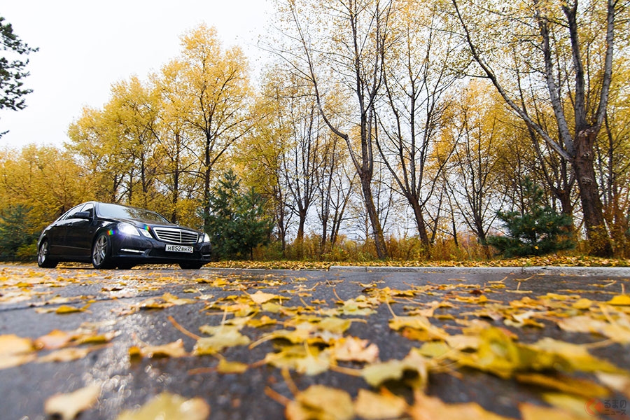 紅葉狩りは足元注意！ スリップの原因、道路の落ち葉は誰がどう掃除　そのままだと冬にも影響？