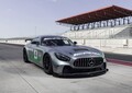 市販車をベースとしたレースモデル、メルセデス-AMG GT4がスパ24時間でデビュー