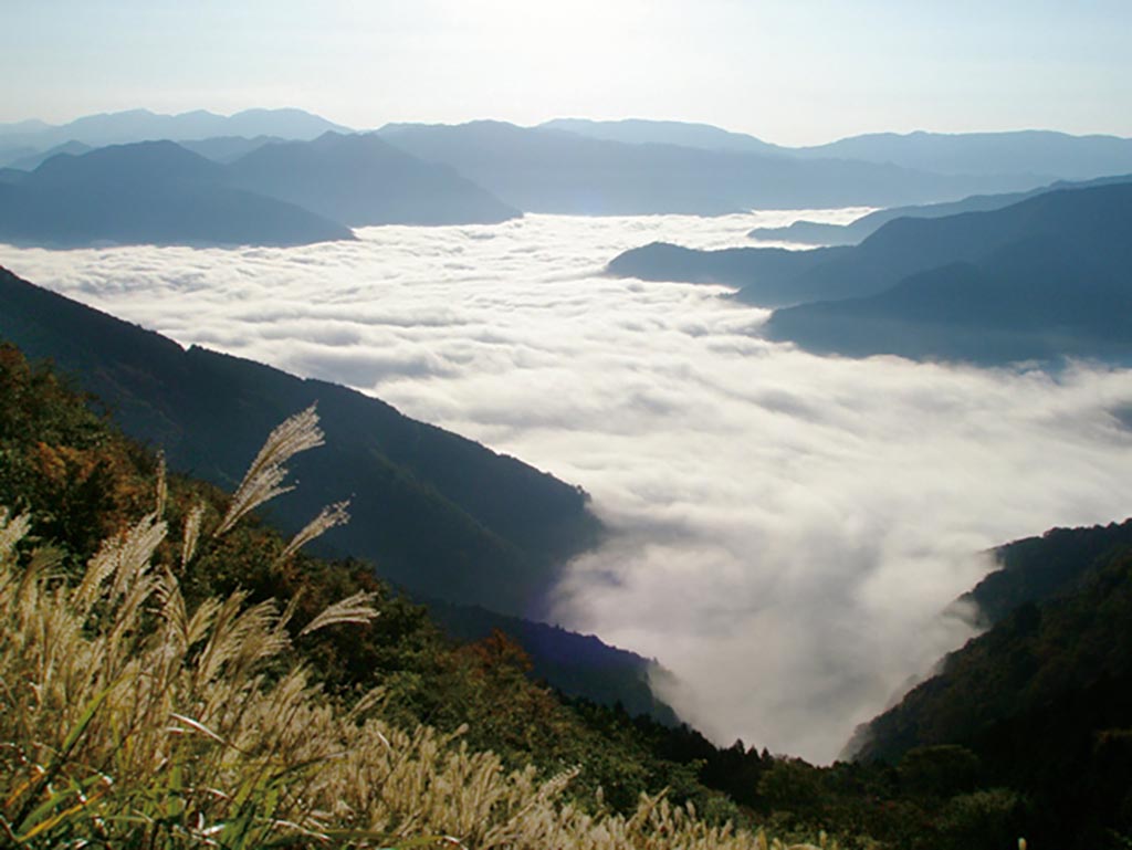 深い谷を埋めつくす大歩危峡の名物 八合霧 徳島県 吾橋雲海展望台 雲海ドライブ スポット Spot 70 Le Volant Carsmeet Web 自動車情報サイト 新車 中古車 Carview