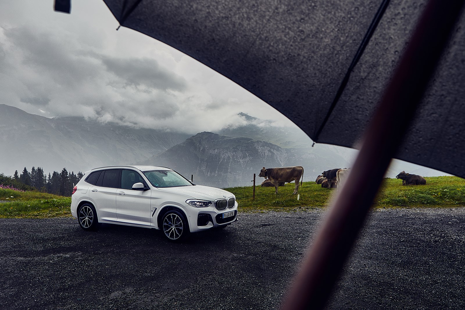 Bmw X3のプラグインハイブリッドが国内発売 価格は778万円から Carview 自動車情報サイト 新車 中古車 Carview