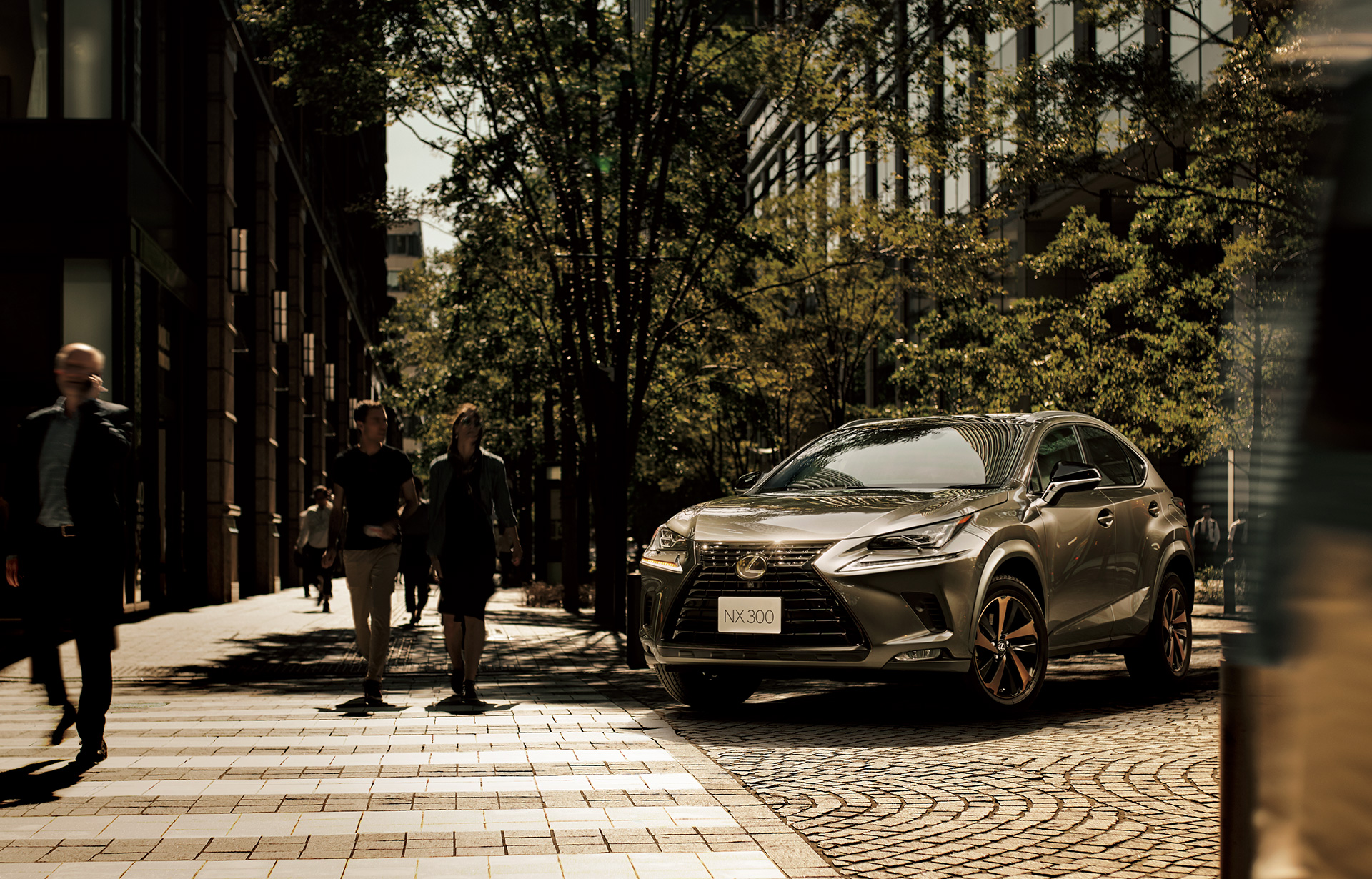 ブロンズ塗装のアルミホイールの重厚感がカッコいいレクサス Nx300 の特別仕様車bronze Edition Dime 自動車情報サイト 新車 中古車 Carview