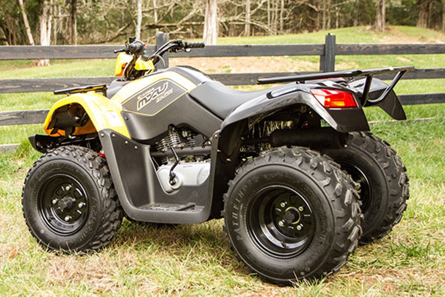 掛け軸 宮台玉英 白梅に千両 紙本 希少 軸装 茶道具 掛軸 美品 です。 真作】掛軸 宮台玉英『栗』紙本 肉筆 共箱付 掛け軸 a11105